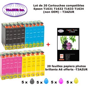 T16XL- 20 cartouches compatibles Epson T1631, T1632, T1633, T1634 pour WF 2010 2510 2520 2530 2540 2630WF 2650DWF+20f A6 brillan