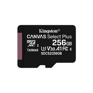 Kingston Carte mémoire MicroSDXC 256GB +Adapter