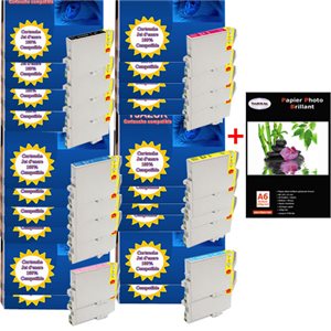 Lot de 20 cartouches compatibles Epson  Stylus Photo P50 / PX650 / PX660 + Pack de 20 papiers photos A6 Brillant 230gr