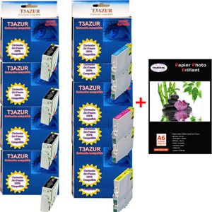 Lot de 10 cartouches compatibles Epson  T1001 / T1002 / T1003 / T1004 + Pack de 20 papiers photos A6 Brillant 230gr