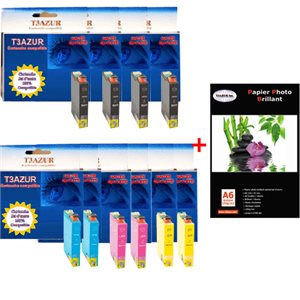 T16XL - Lot de 10 Cartouches Epson compatible WF2540 / WF2540WF / WF-2540 + Pack de 20 papiers photos A6 Brillant 230gr